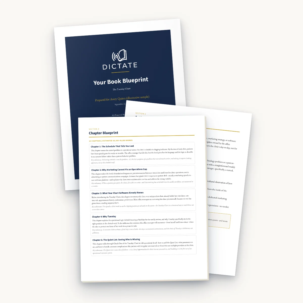 A sample Book Blueprint: cover page and chapter-by-chapter outline